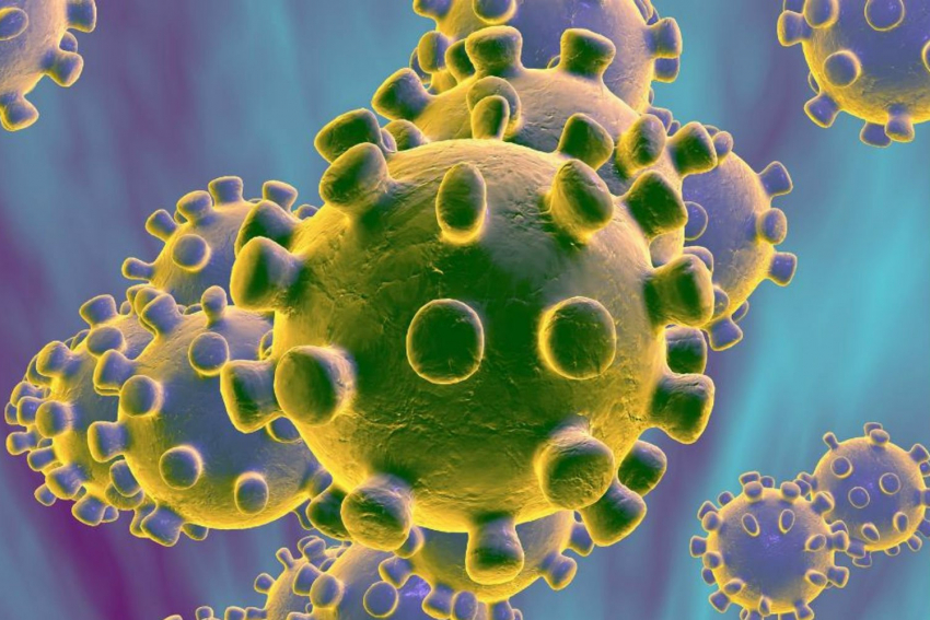 В Тамбовской области за сутки коронавирусом заболели 52 человека