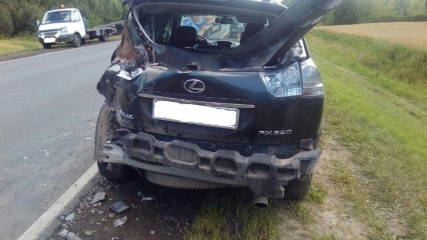 В массовом ДТП в Гавриловском районе по вине водителя тягача пострадала девочка