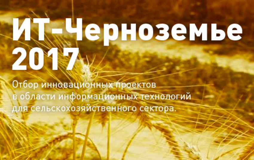 Конкурс инновационных проектов «ИТ-Черноземье» впервые фонд «Сколково» проведет в Тамбове 