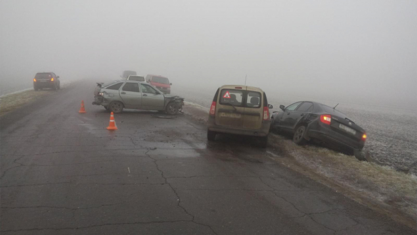 «Урожай» из семи машин собрал утренний туман под Мичуринском 