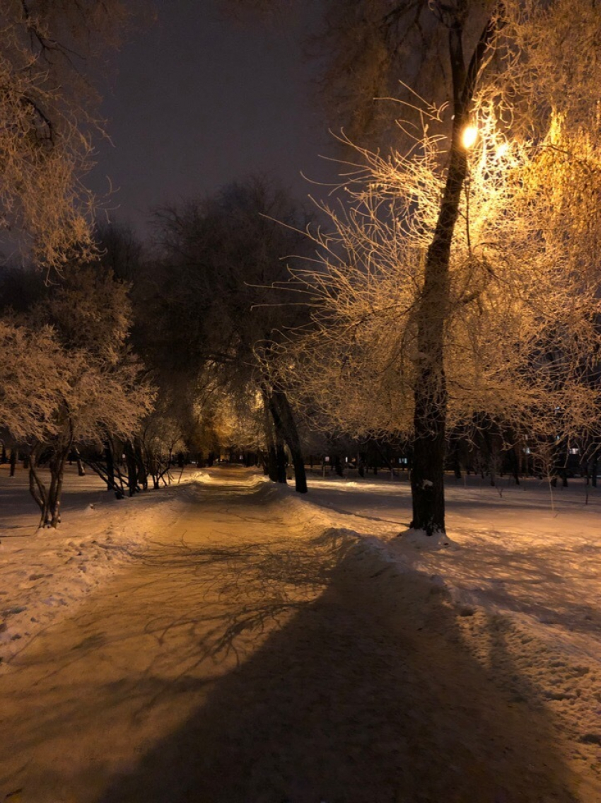 «А снег идет…» Снежная предновогодняя неделя ждет тамбовчан 