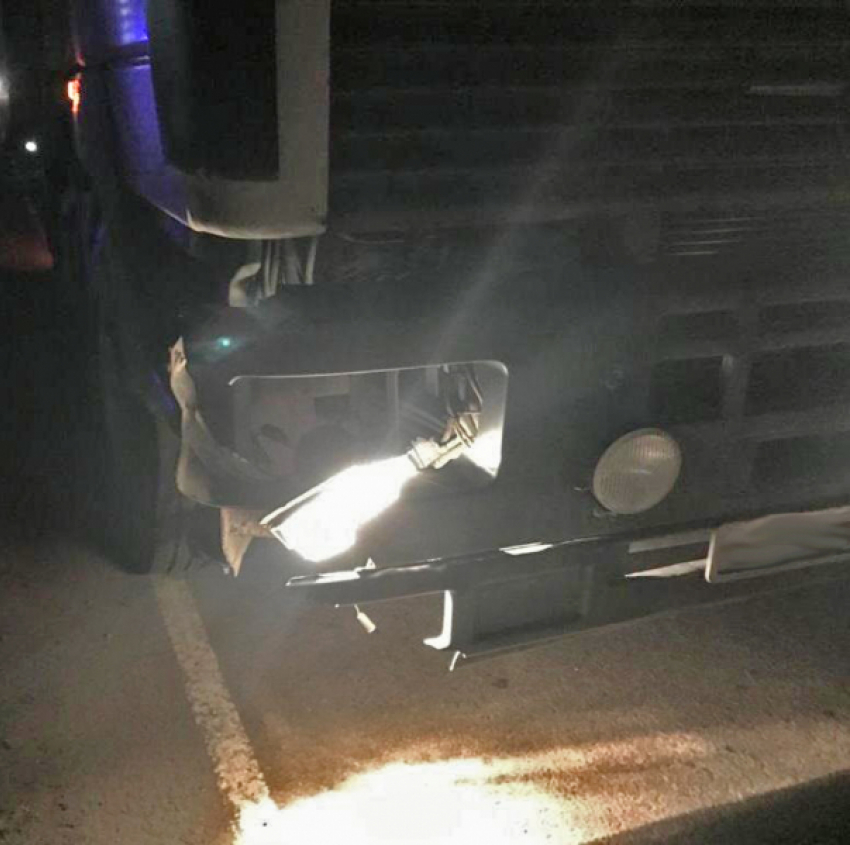 В Тамбовской области пешеход попал под колёса двух грузовиков