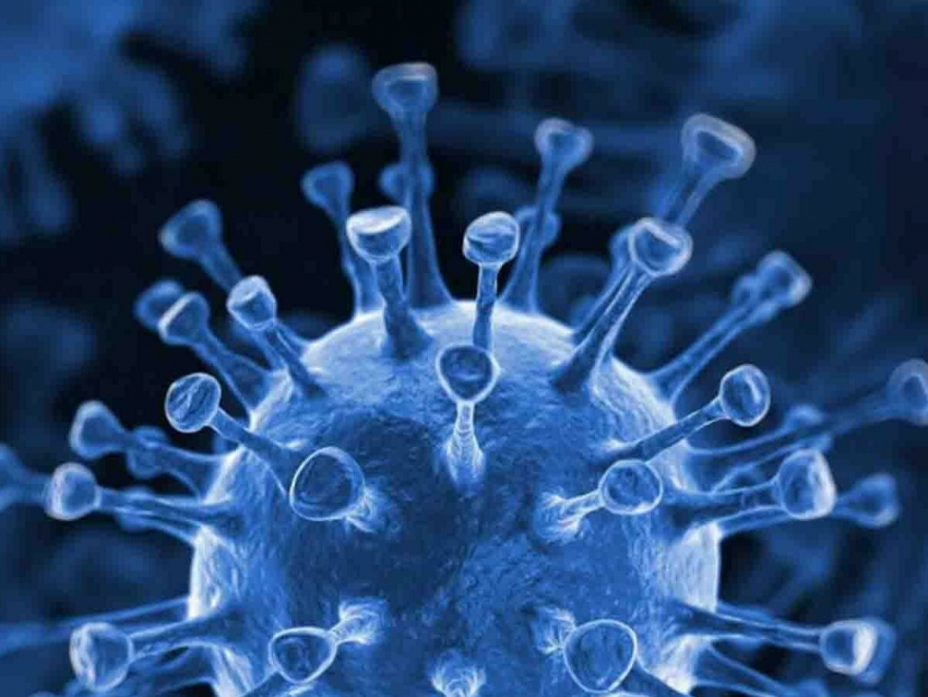 В Тамбовской области количество заболевших коронавирусом перевалило за 1000