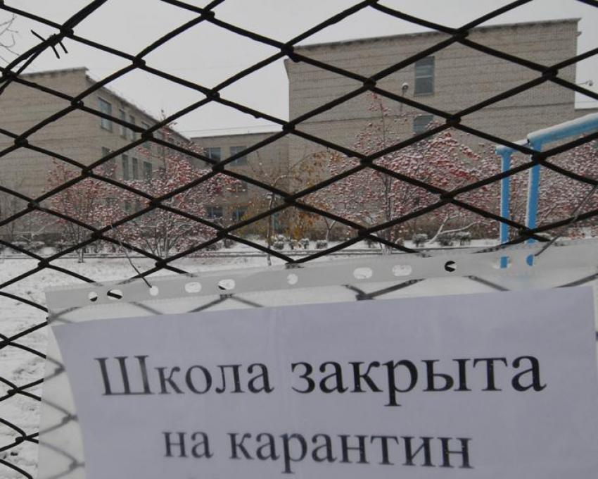 Три школы Мичуринска закрыли на карантин