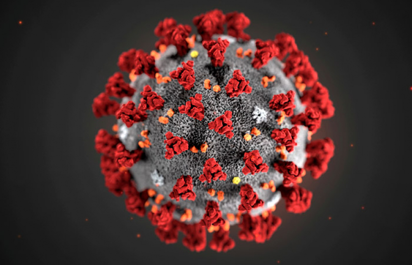 За неделю от последствий коронавируса скончались 77 человек