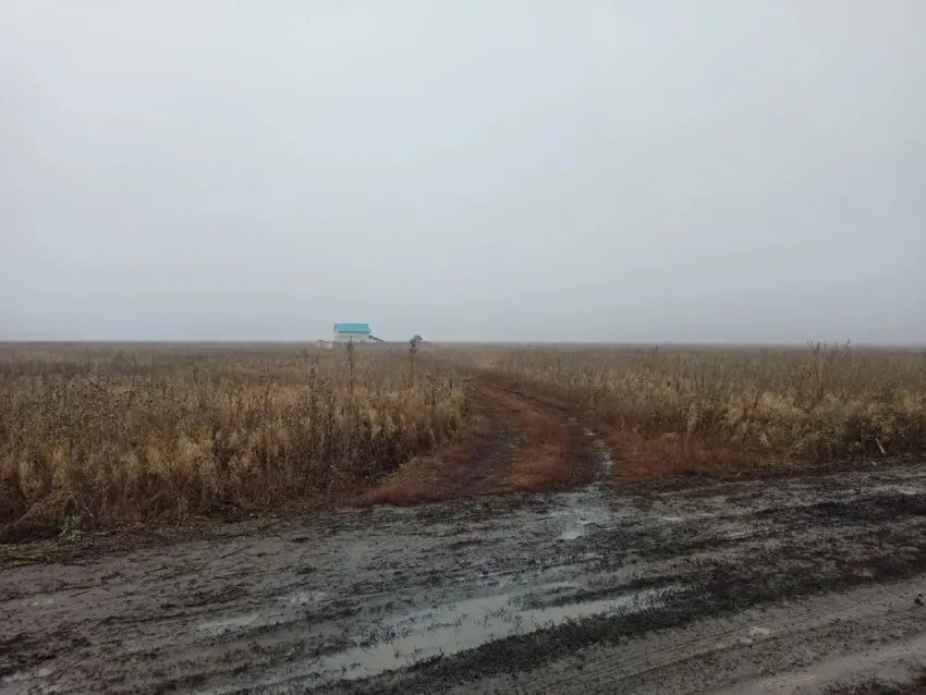 Многодетная семья несколько лет ждёт проведения коммуникаций к участку в Тамбовском районе