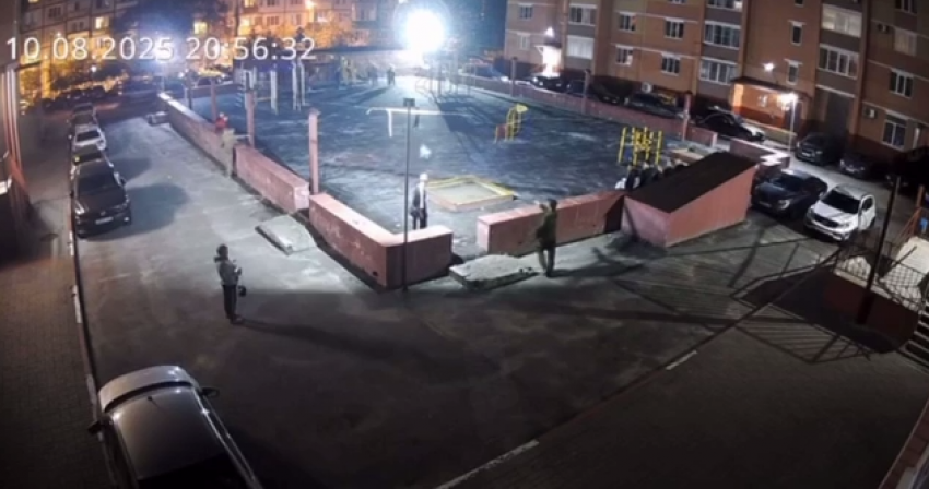 На детской площадке на западе Тамбова сотрудник отлова ранил собаку и подрался с подростком