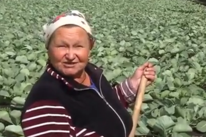 Тамбовские аграрии стали героями программы «Вести недели» на канале «Россия-1» 