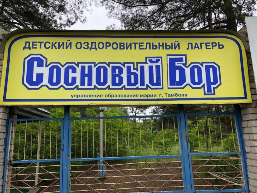 Тамбовской области решили воскресить лагерь «Сосновый бор»