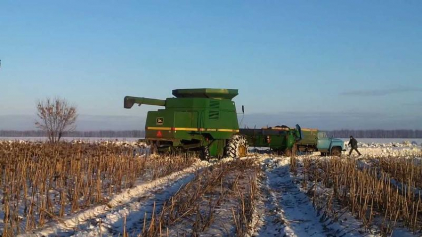 В Тамбовской области заканчивают уборку урожая