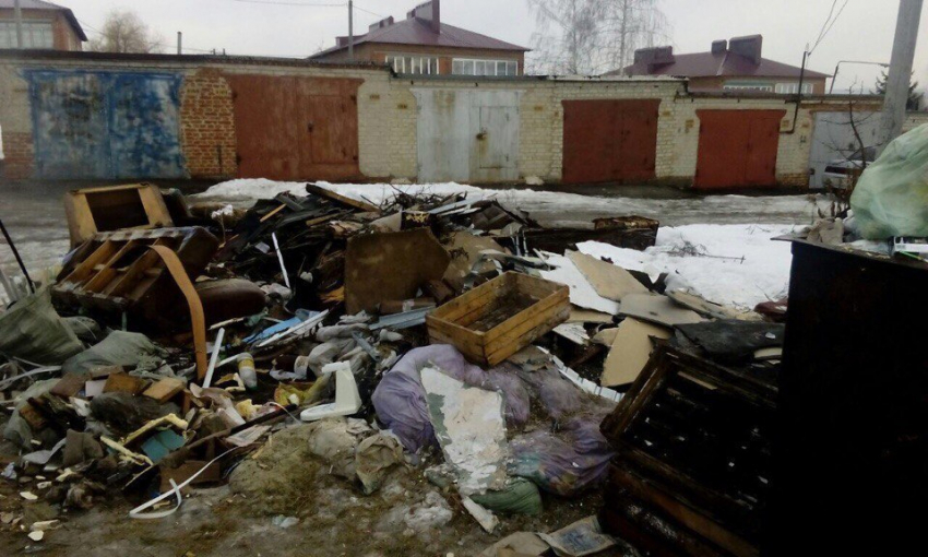 "В центре Тамбова нет проблем с мусором, посмотрите лучше на нас!"- возмущены жители села Донское 