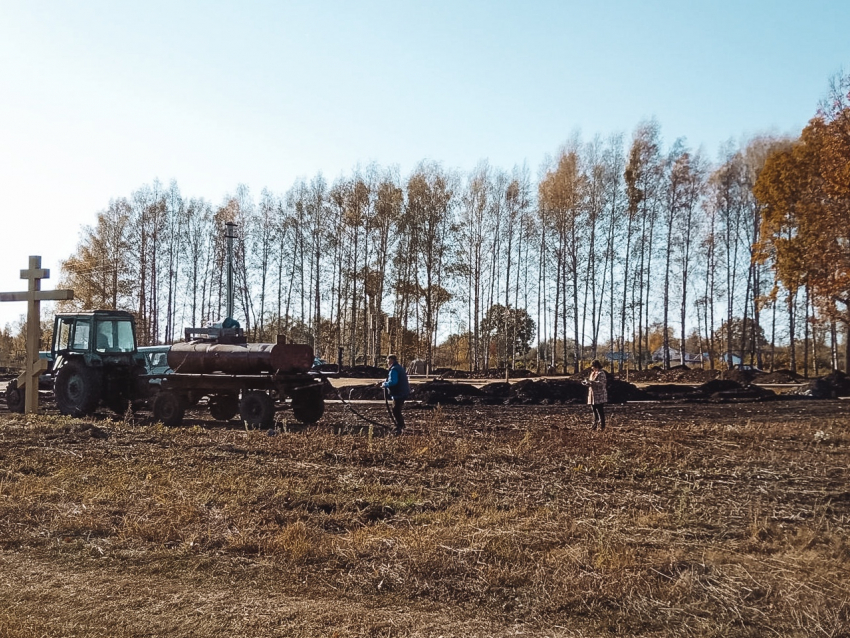 В селе Новосеславино Первомайского района посадили 200 кедров