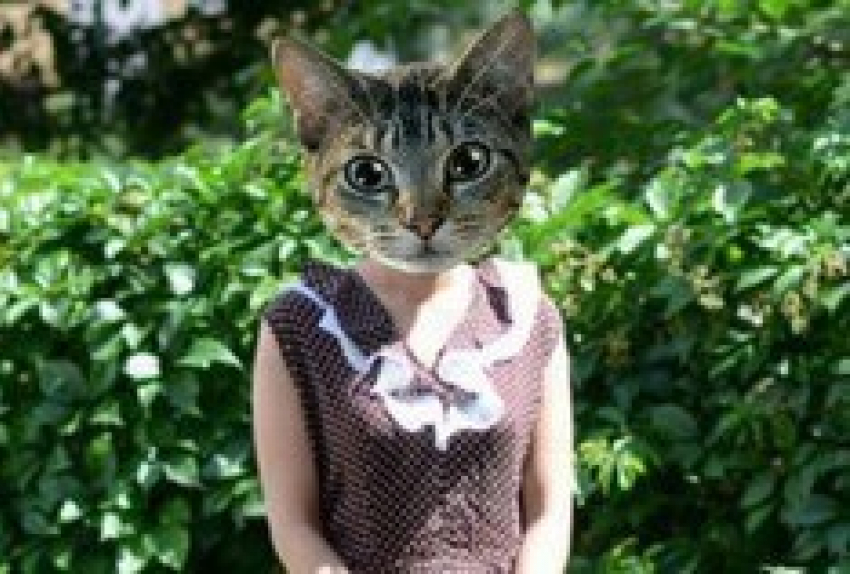 В 70 тысяч рублей оценила свою девственность молодая жительница Моршанска 