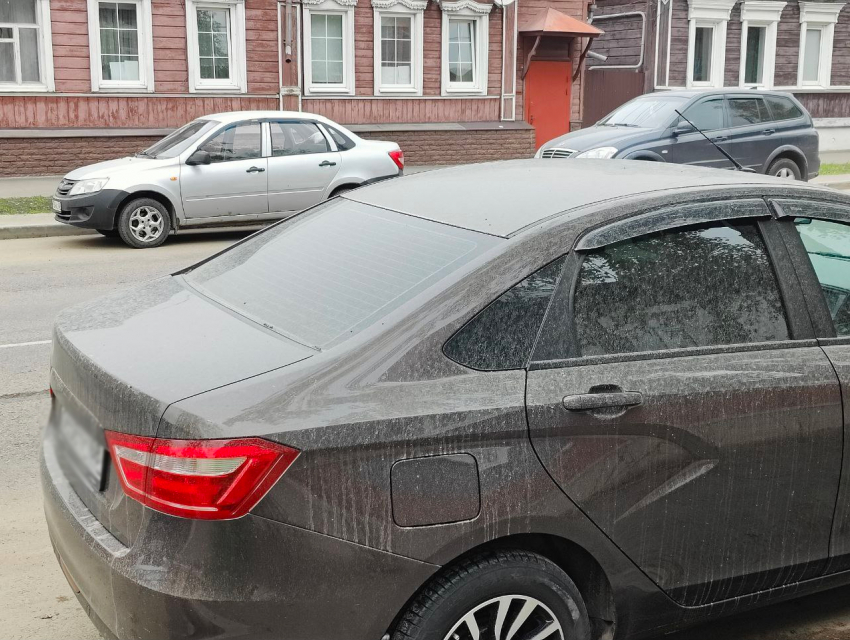 Песок из африканской пустыни накрывает Тамбов