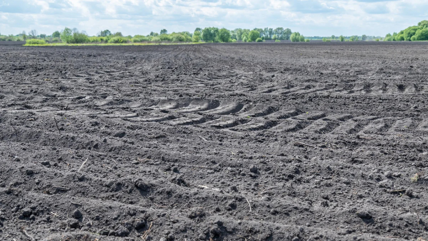 Агрохолдинг погибшего бизнесмена Юрия Хохлова продолжает нести потери