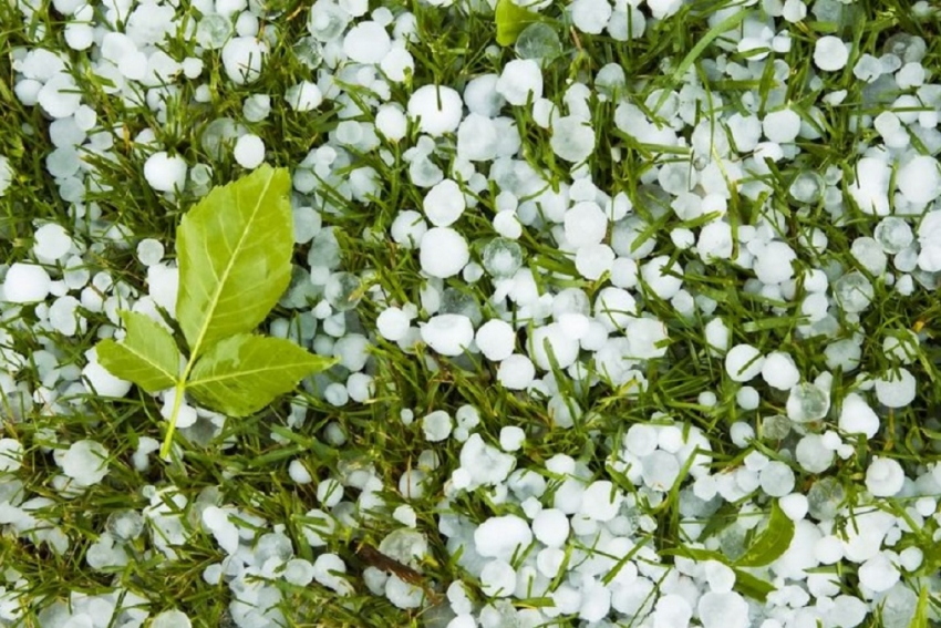 В Сосновском районе град изуродовал дома и сровнял с землёй огороды