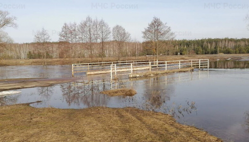Ещё один мост в Тамбовской области затоплен рекой Иловай