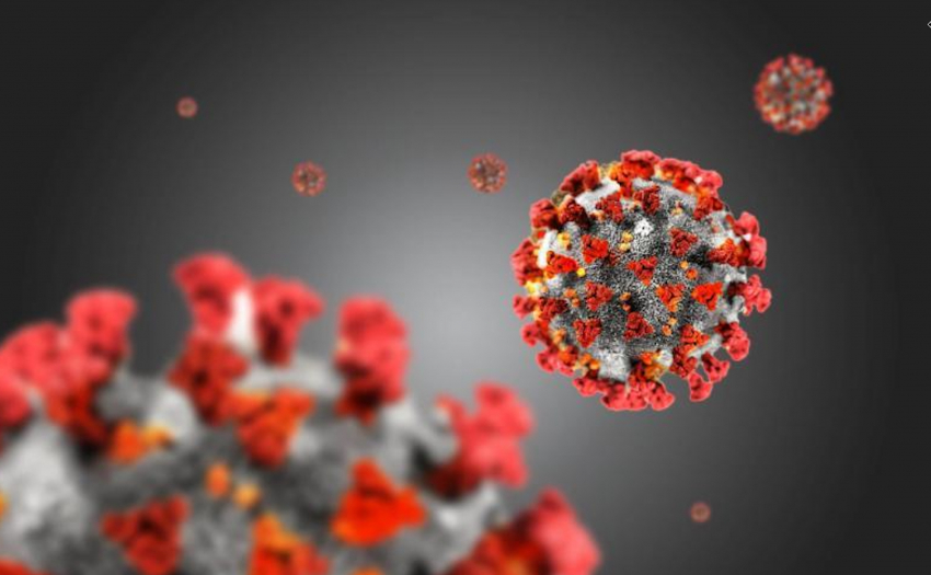 Число новых случаев заражения Covid-19 в регионе уменьшилось 