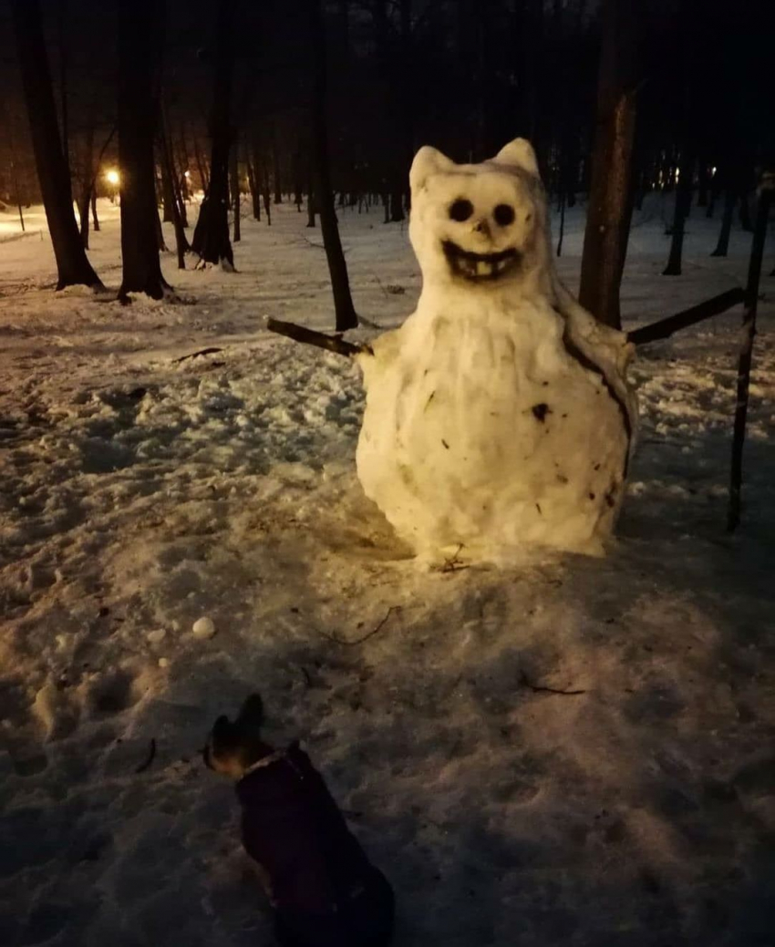 Снеговика из кошмаров обнаружили тамбовчане