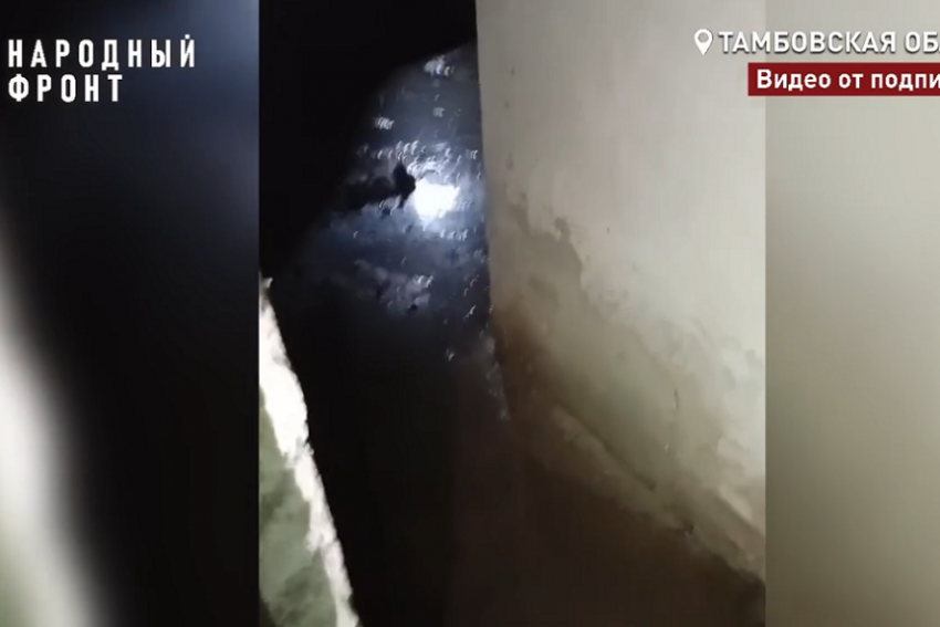 Жители дома на Киквидзе третью неделю задыхаются из-за разлива канализации в подвале