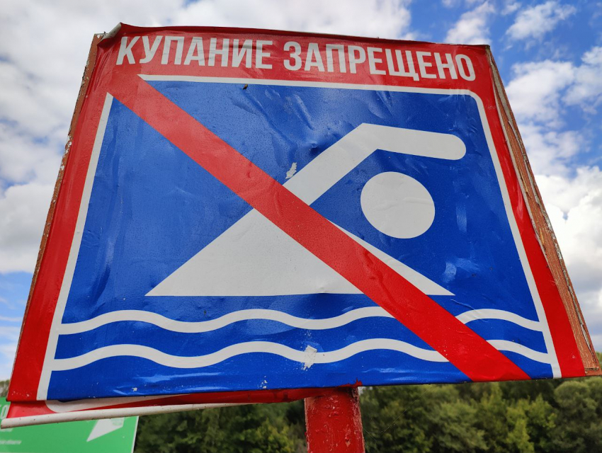 Региональное минэкологии не нашло желающих откорректировать проект расчистки Цны