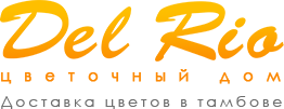 logo.png