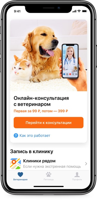 онлайн консультация с ветеринаром
