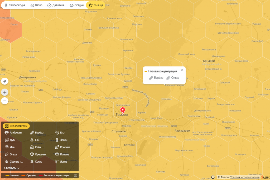 Карта пыльцы березы gismeteo